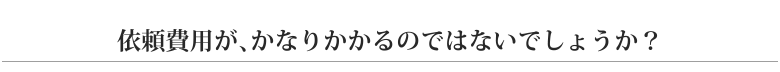 依頼費用が、かなりかかるのではないでしょうか？