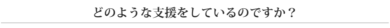 どのような支援をしているのですか？